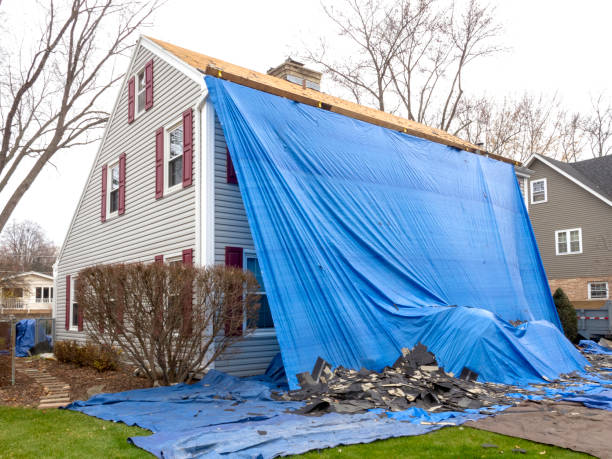 Best Dumpster Rental Services  in Evergreen, CO